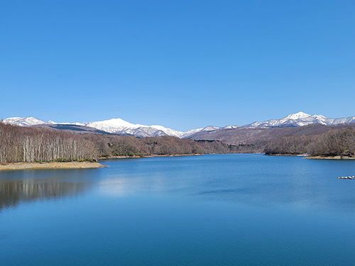 銅賞作品の写真