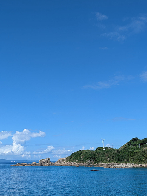 入賞作品の写真